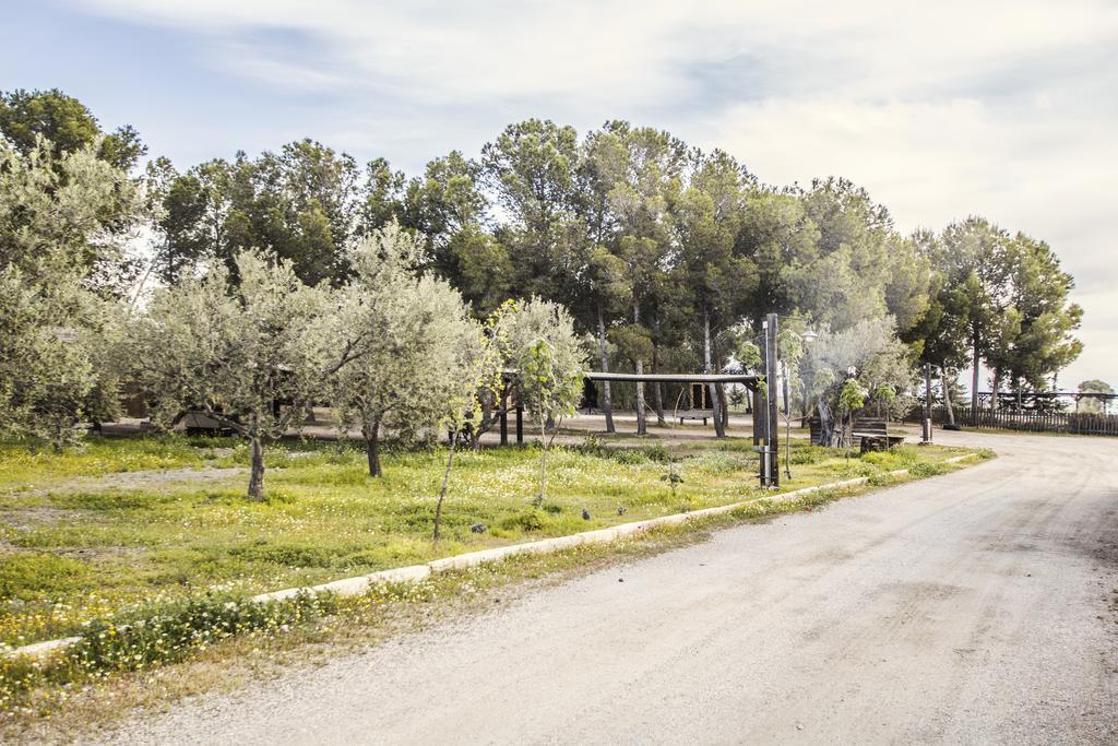 Alojamientos Rurales Los Albardinales Tabernas Zewnętrze zdjęcie